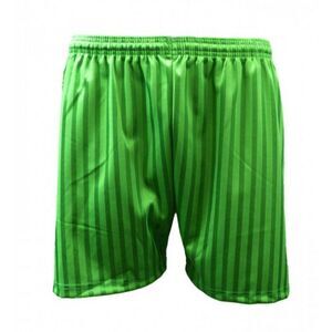 Carta Sport Unisex Adult Seriea Shorts / Emerald Green